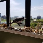 View over the bay from the living room
