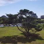 View of trees and the water from the balcony